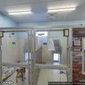 Smoke alarm at pet rescue on Ash Street