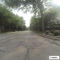 Traffic check at Lakeshore and Brighton