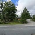 Bear reported at Forestburgh Playhouse