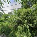 Bad odor and maggots in garbage can at vacant home