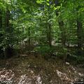 Rescue call on Mullet Brook Loop Trail in Rock Hill