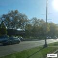 Report of dog left in vehicle at cafe parking lot
