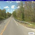 Raccoon blocking roadway on Route 61 in Bethlehem