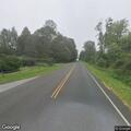 Tree down on Route 39 blocking traffic lane