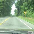 Car hits deer on Route 55 near Northern Log Homes