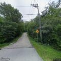 Tree brings down smoking power line, cuts local power