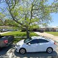 Noise complaint for loud party on Lakehurst Drive