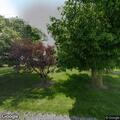 Large tree limb hanging over County Road S