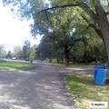 Person fell at dog park in Hidden Lakes