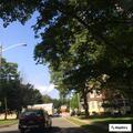 Woman asks police to remove man from apartment