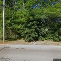 Injured raccoon reported in roadway
