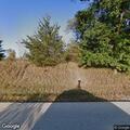 Injured deer on roadside after vehicle collision