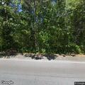 Injured deer blocking road after vehicle strike