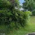 Animal complaint on Maple Lane