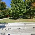 Loose dogs killing cats near West State Road 120 in Orland