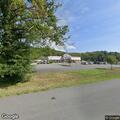 Car hits deer near Tractor Supply in Napanoch