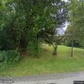 Tree hanging over cable lines on Lewis Avenue
