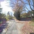 Tree on power line arcing on Woodfield Road