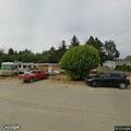 Unknown man cutting tree at vacant residence