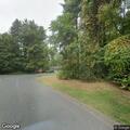 Cat stuck in tree on Cider Brook Road