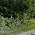 Loose farm animals creating road hazard