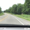 Trees blocking lane on Route 219 in Lafayette