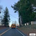 Officer checks woman walking near intersection