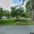 Tree leaning on wires near Race Course Road