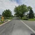 Tree blocking street in Oak Brook neighborhood