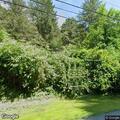 Unresponsive 911 text near Clinton Hollow Road home