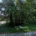 Tree branch blocking lane on Mount Hygeia Road
