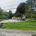 Loose dogs reported on Boss Road property