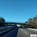 Lumber blocking left lane on Route 24 north