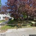 Injured deer reported in front yard on West Maple