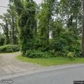 Tree on utility wires on Much Pond Road