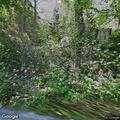 Tree down on Hancock Highway with cable lines