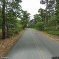 Tree branch hanging over Long Pond Road