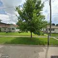 Underfed dog with puppies reported in neighbor’s yard