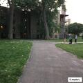 Reckless dirt bike riding in Ronan Park
