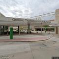 Loose dogs reported at GTC property
