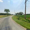 Loose pig reported on County Road 35