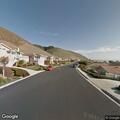 Loose animals on shoulder of Foothill Drive
