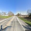Deer blocking traffic on US 31 near Pigeon Roost