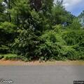 Car hits tree near Pond Street entrance