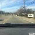 Electrical lines arcing on Hill Avenue