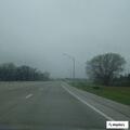 Gray vehicle with flagged subject near Norfolk