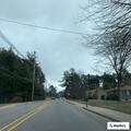 Unleashed dog reported at Washington Street School