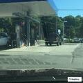 Loose dogs reported near North Main Street car wash