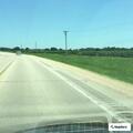 Car hits deer on highway near Baldwin