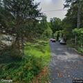 Driver injured after hitting deer on Route 309
